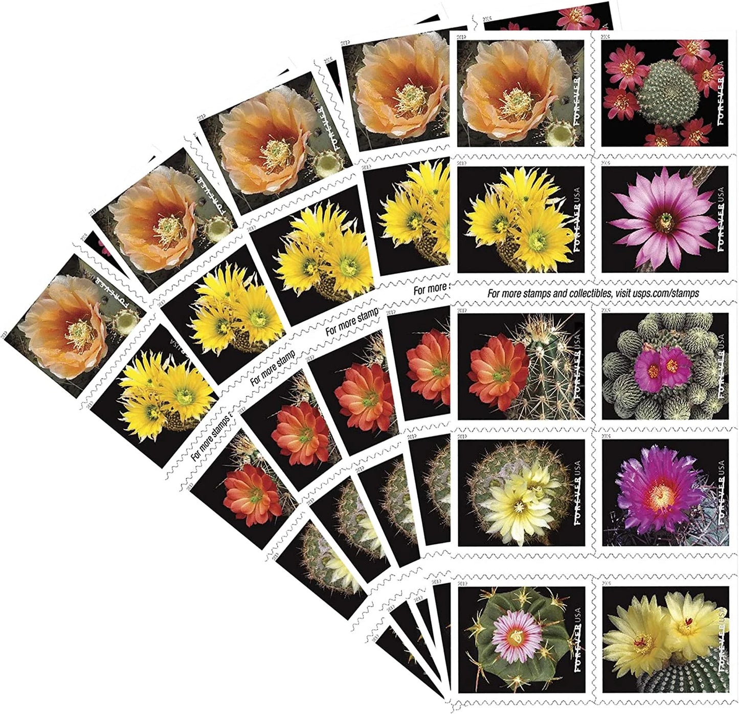 Cactus Flowers Forever Stamps