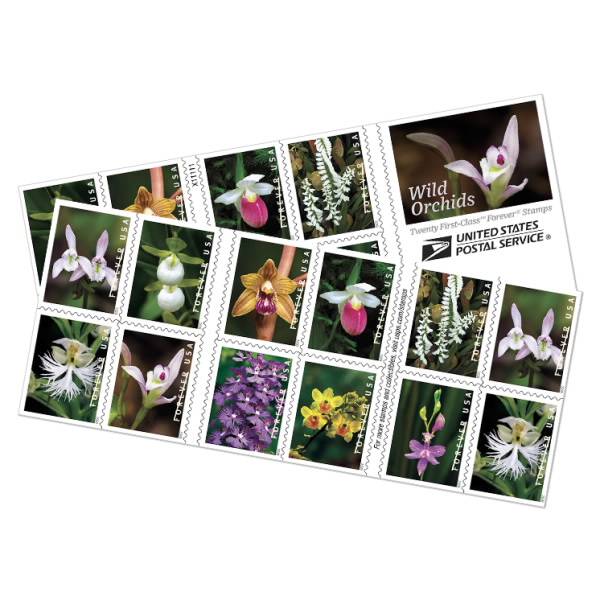 Wild Orchids Forever Stamps