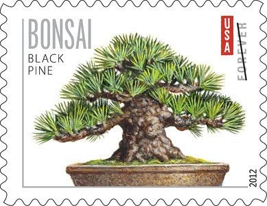 Bonsai Trees Forever Stamps